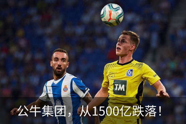 公牛集团，从1500亿跌落！